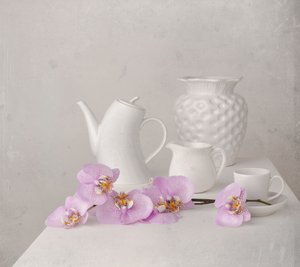Naturaleza muerta con orquídea blanca