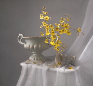 Naturaleza muerta con orquídea amarilla de Margareth Perfoncio