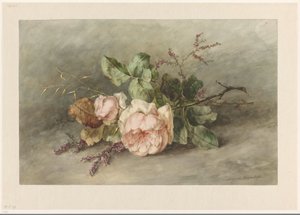 Rozen de Margaretha Roosenboom