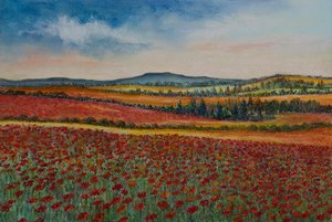 Campos de amapolas, Flandes