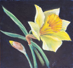 La belleza de un narciso, 2021 de Margo Starkey