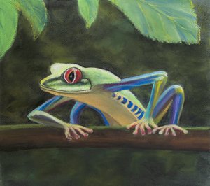 Rana arbórea