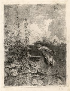 El botánico de Marià Fortuny Marsal