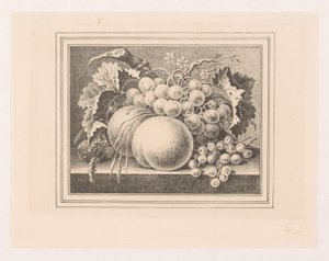 Composición con frutas en un marco. de Maria Geertruida de Goeje Barbiers (attributed to)