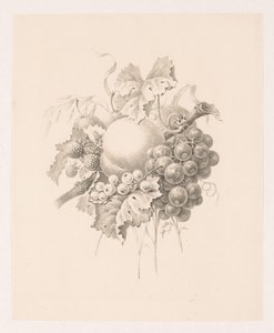 Composición de frutas de Maria Geertruida de Goeje Barbiers (attributed to)