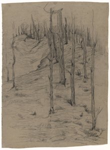 Troncos de pino desnudos en terreno ondulado de Maria Johanna Goemans