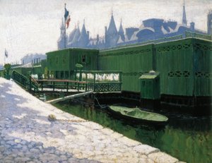 Baños verdes en París de Maria Pidelaserra Brias