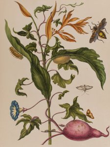 Ilustración de 