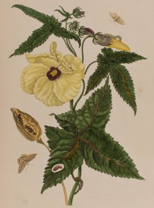 Ilustración de 
