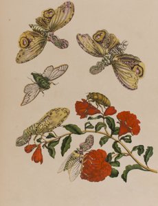 Ilustración de 