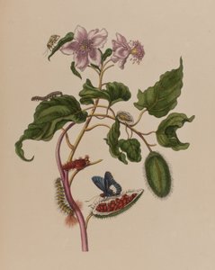 Ilustración de 
