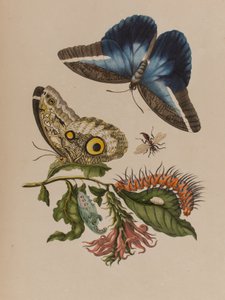 Ilustración de 