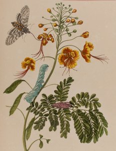 Ilustración de 