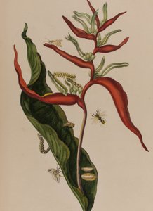 Ilustración de 