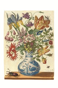 Placa del Blumenbuch (grabado coloreado a mano) de Maria Sibylla Graff Merian