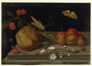  de Maria Sibylla Merian