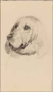 Cabeza de perro de Maria Wiik
