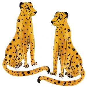 Pareja de leopardos, 2020 de Marianna Kulukundis