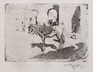 Caballo de Marruecos