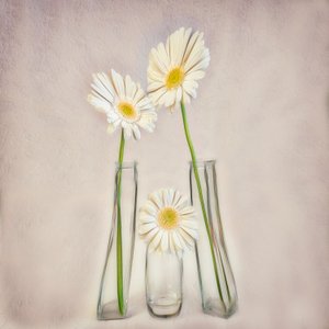  de Marie-anne Stas