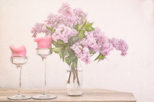 Velas de color lila y rosa de Marie-anne Stas