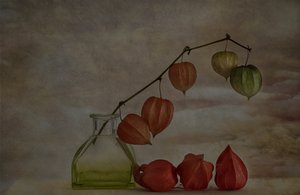 Linterna de otoño tranquila de Marie-anne Stas