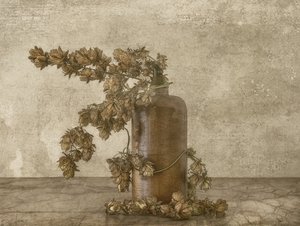 Naturaleza muerta rústica con lúpulo de Marie-anne Stas