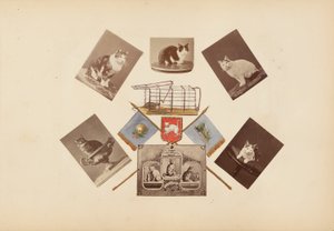 El álbum de Madame B de Marie Blanche Hennelle Fournier