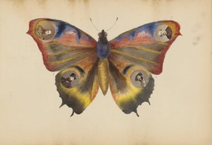 El álbum de Madame B de Marie Blanche Hennelle Fournier