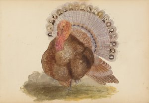 El álbum de Madame B, 1870s de Marie Blanche Hennelle Fournier
