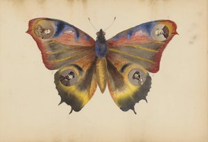 El álbum de Madame B de Marie Blanche Hennelle Fournier