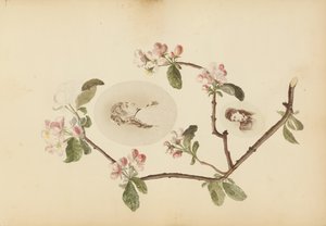 El álbum de Madame B, 1870s