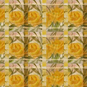 Fantasía con rosas de Marina Falco