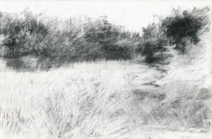 Paisaje, 2021 (carboncillo sobre papel) de Marina Falco