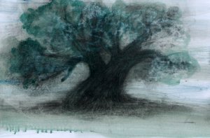 Olivo, 2023 (óleo y carboncillo sobre papel) de Marina Falco