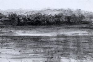El lago, 2023 (óleo y carboncillo sobre papel) de Marina Falco