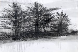 Árboles, 2023 (óleo y carboncillo sobre papel) de Marina Falco