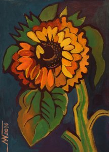 Girasol de verano en negrita