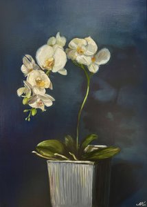 Elegante orquídea en maceta de Marina Kozyr