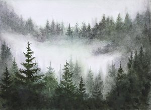 Serenidad del bosque brumoso