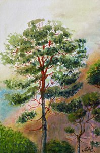 Bosque de pinos en acuarela