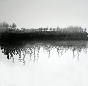 Reflejo en el bosque monocromático de Marina Nelson