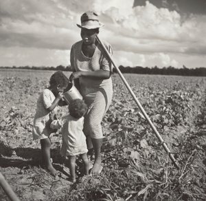 Mujer negra dando de beber a sus hijos en el campo donde está aporcando algodón en un proyecto cooperativo del FSA (Plantación Allen). de Marion Post Wolcott