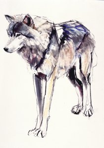 Alpha de Mark Adlington