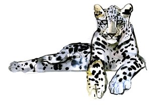 Leopardo Árabe, 2008 de Mark Adlington