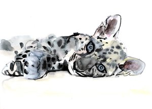 Cachorro de leopardo árabe, 2008 de Mark Adlington