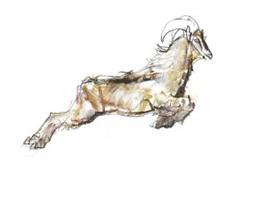 Tahr árabe, 2009 de Mark Adlington