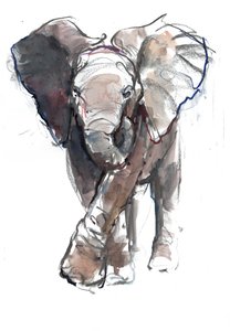 Carga de Bebé, 2018 de Mark Adlington