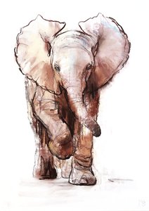 Elefante bebé, Loisaba, 2018 de Mark Adlington
