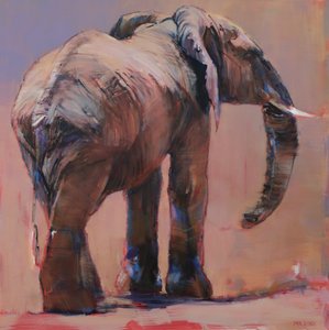 Detrás, Loisaba, 2018 de Mark Adlington